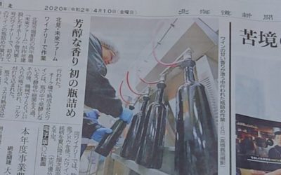 北海道新聞に記事が掲載されました。