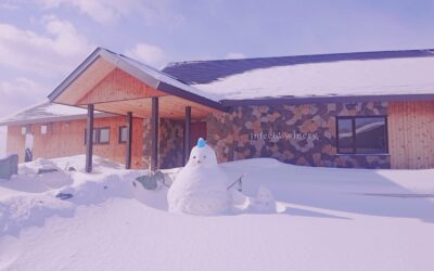 ワインショップ営業のお知らせ