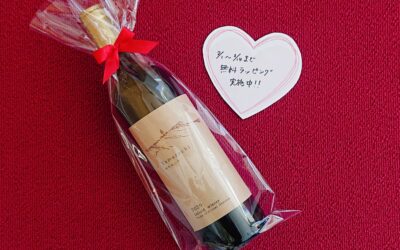 ワインショップ営業のお知らせ