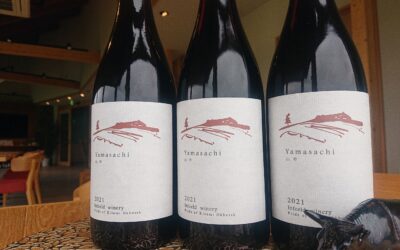 新商品のお知らせ