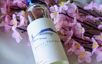 新商品のお知らせ