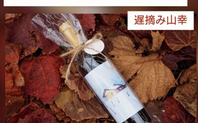 新商品のお知らせ