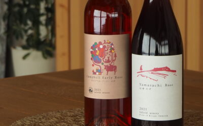 ワインショップ営業のお知らせ