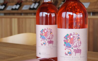 ワインショップ営業のお知らせ