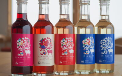 新商品のお知らせ