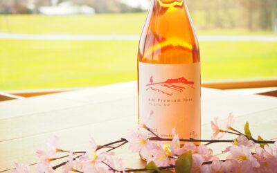 新商品のお知らせ