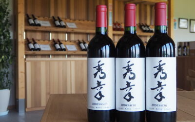 新商品のお知らせ