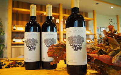 新商品のお知らせ