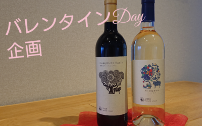 バレンタインDay企画のお知らせ