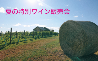 夏の特別ワイン販売会のお知らせ